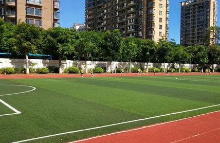 微信圖片_20240731095450 微信圖片_20240731095450